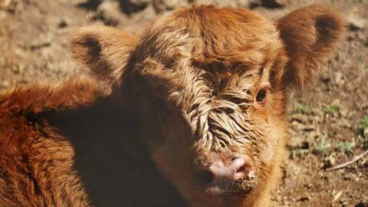 74666236_590628441884143_7692373568451328833_n