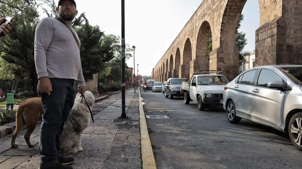 José, el encantador de perros