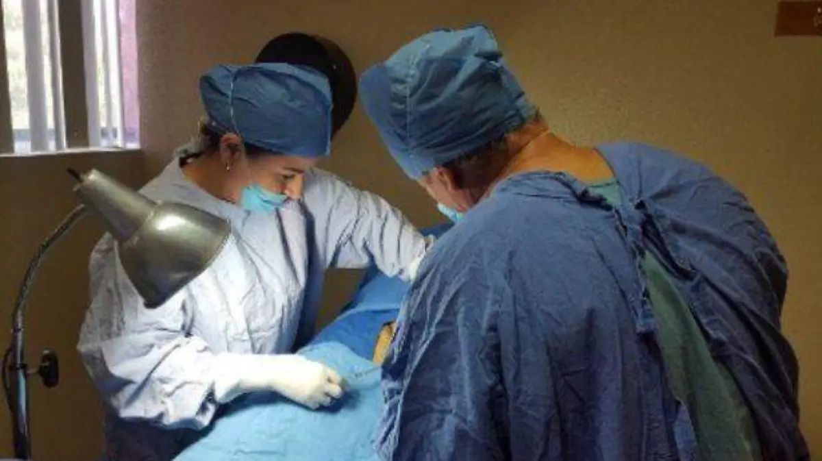 VASECTO3978469 (internet-oem)