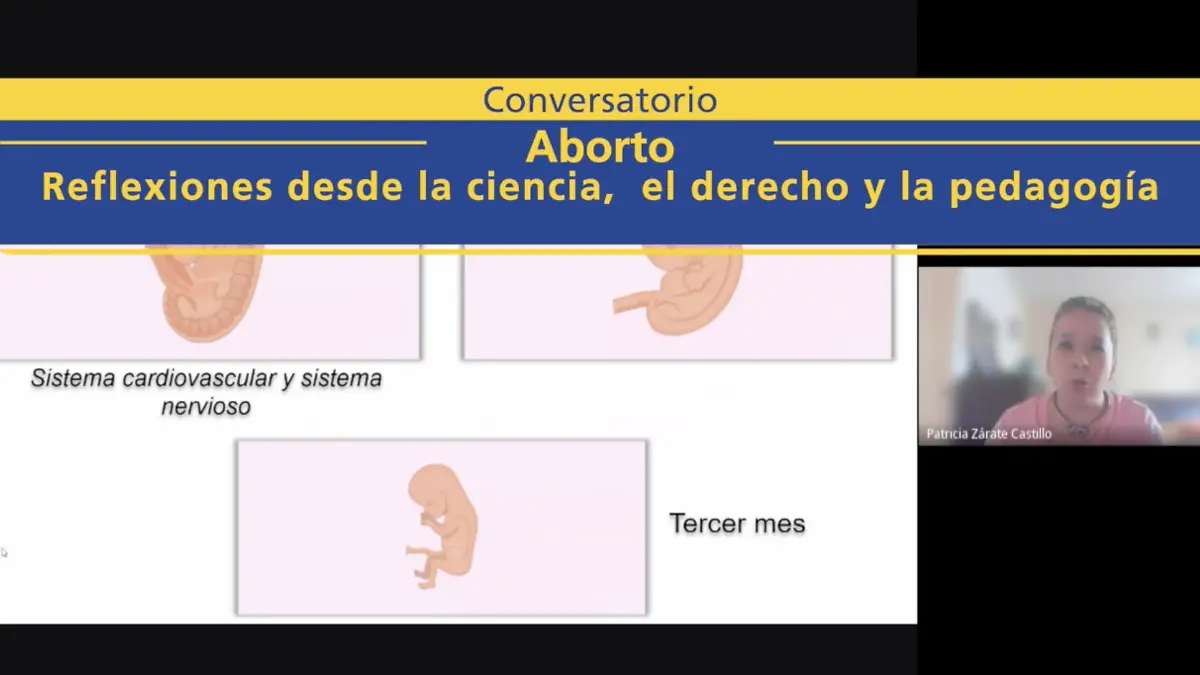 Captura de Pantalla 2021-10-25 a la(s) 16.29.43