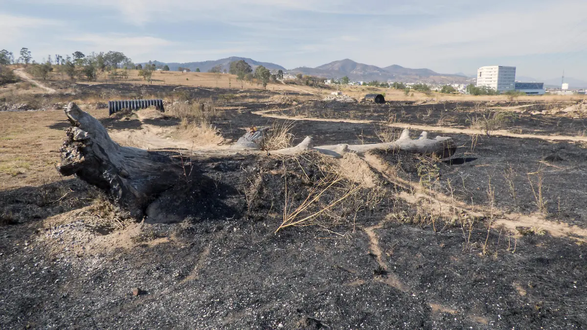Incendios forestales