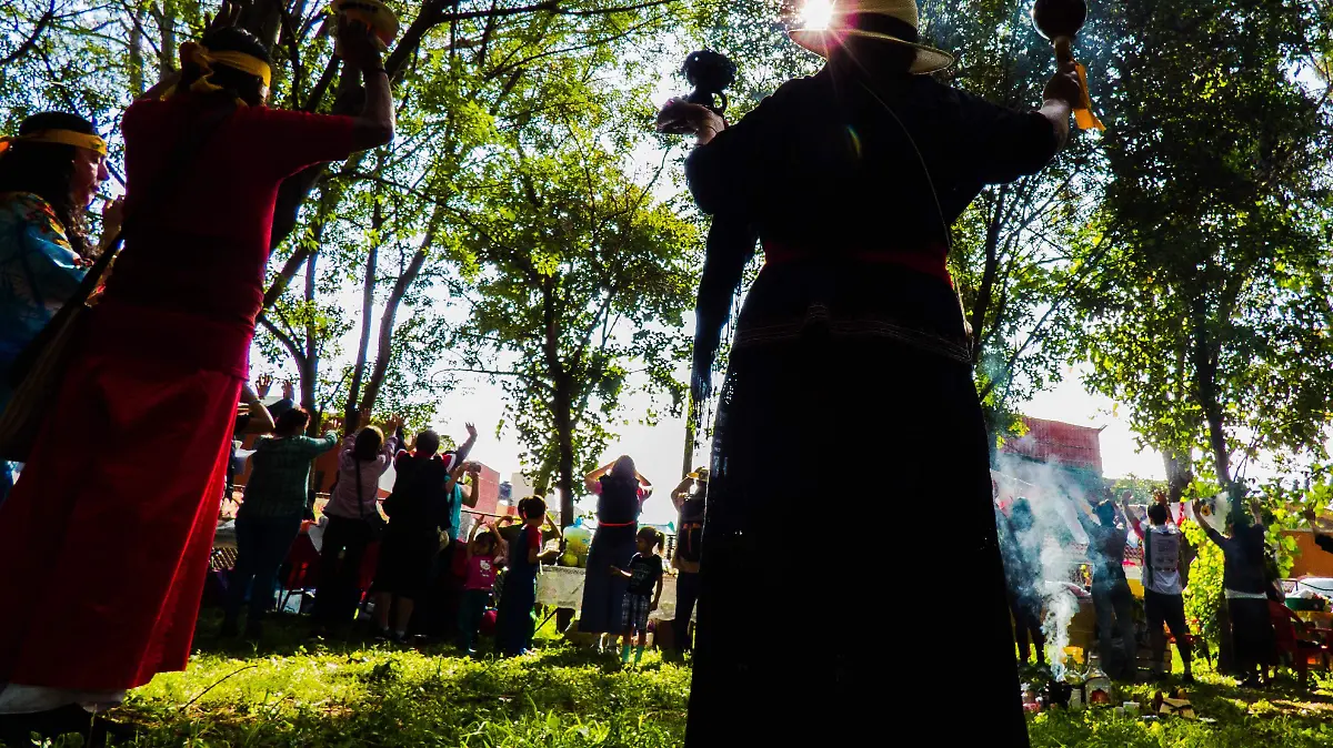 LA GOTITA COSMOS_AJO (5)