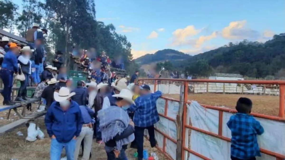 jaripeo morelia