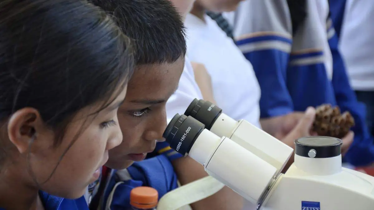 2903 TIANGUIS CIENCIA (CHR) 5