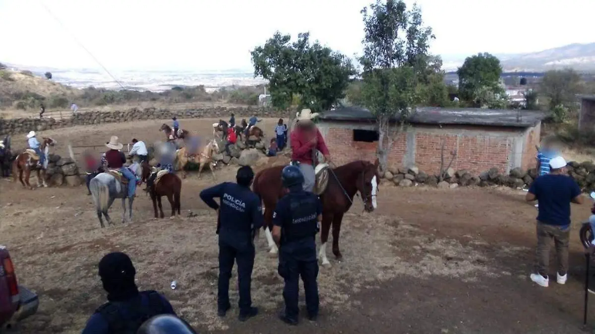jaripeo