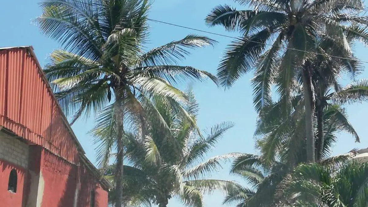 PLAYA AZUL (GASCA) (2)