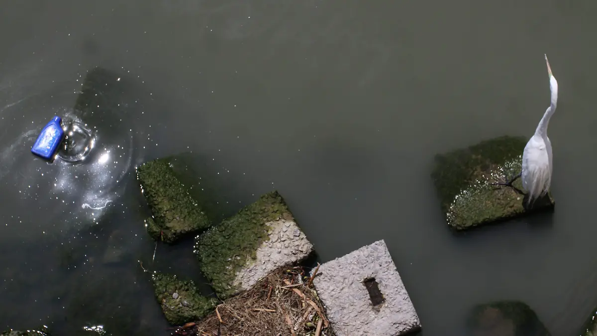 CONTAMINACION LAGO_CUARTOSCURO (4)