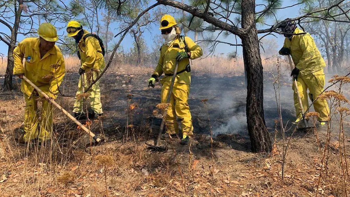 incendios brigadistas
