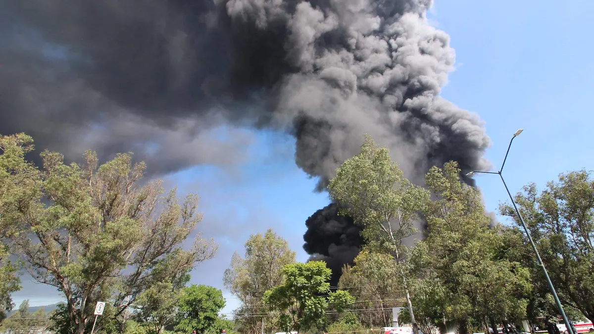 INCENDIO (MLM) (24)