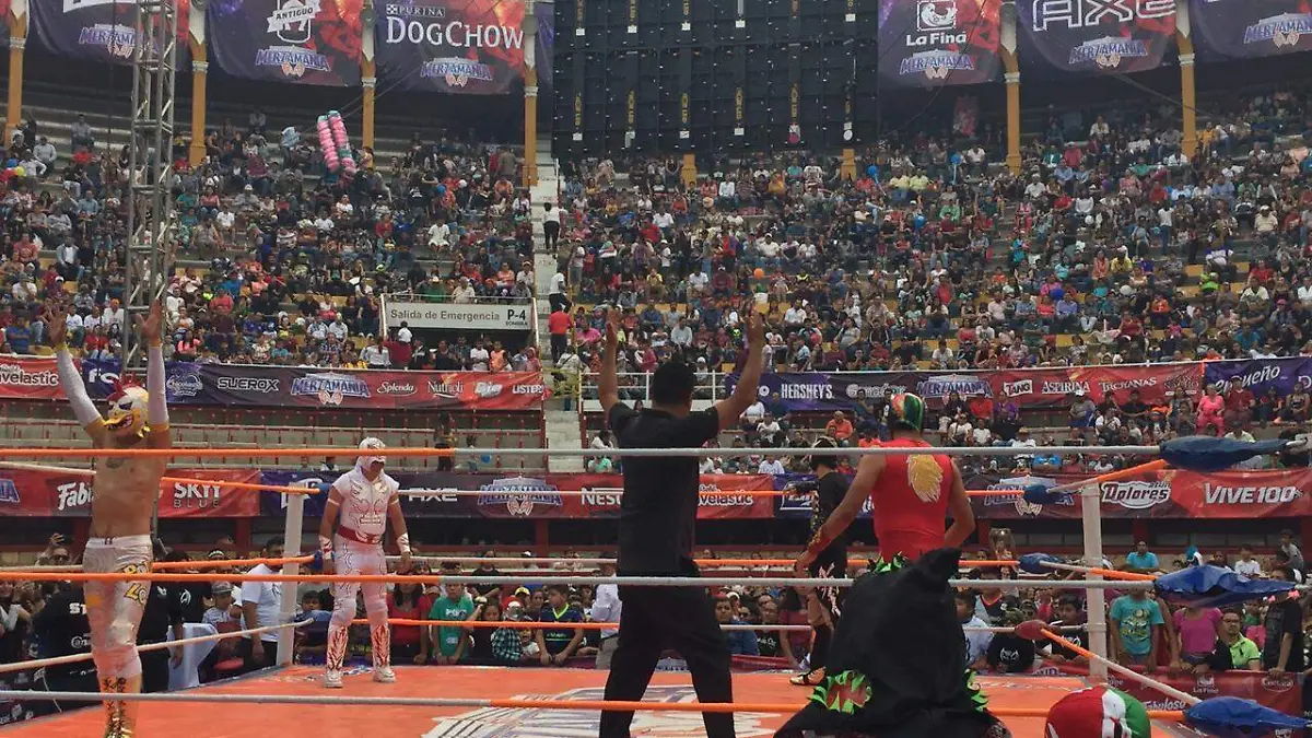 lucha 