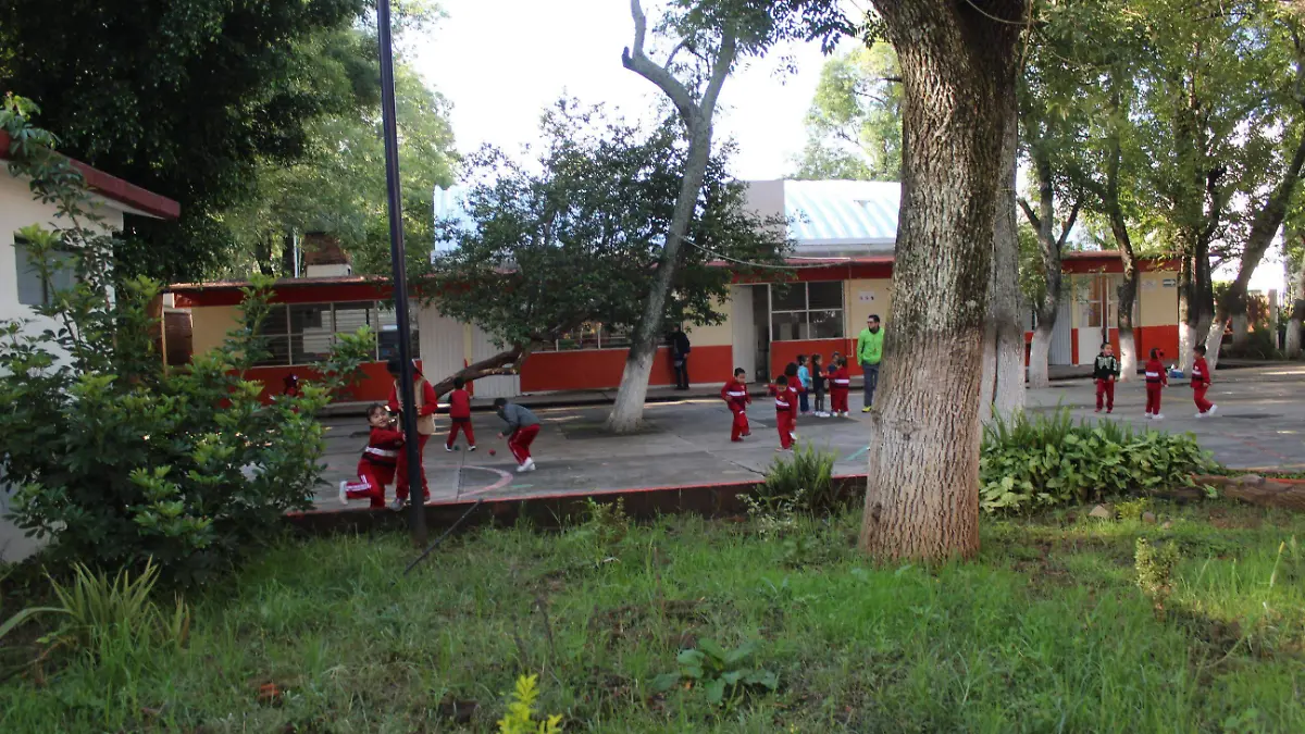 escuela kinder (MLM)
