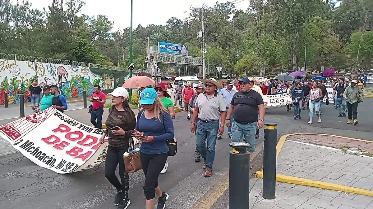Marcha maestros