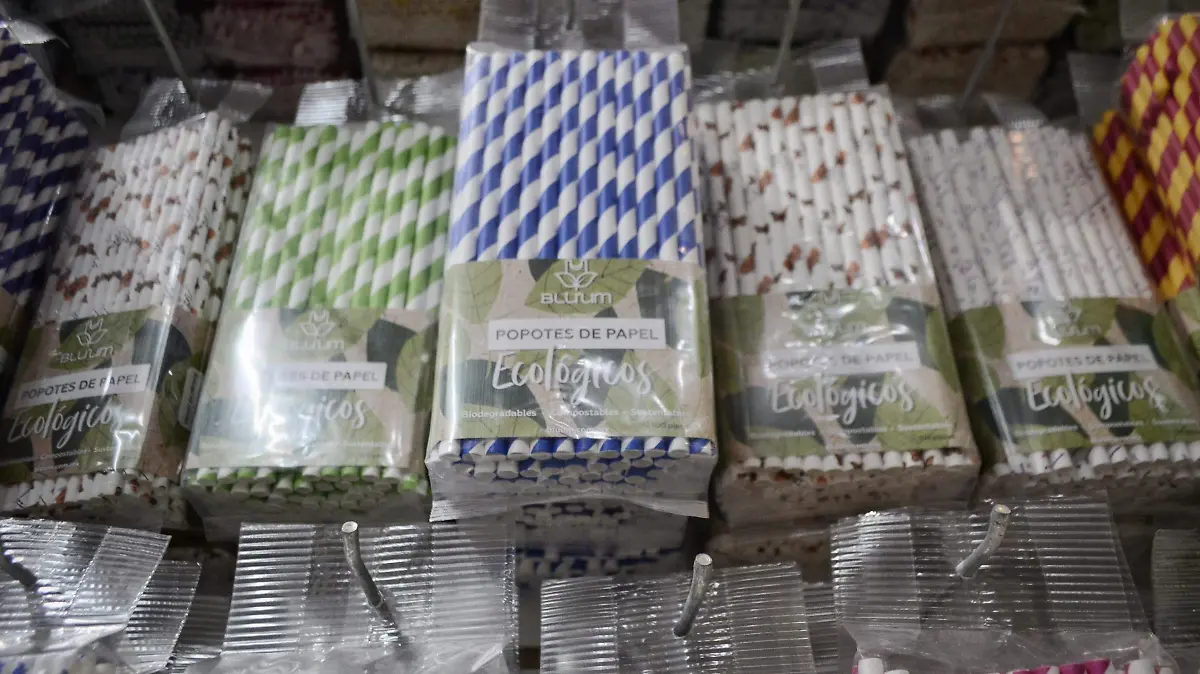 2808 POPOTES DE PAPEL (CHR)_08