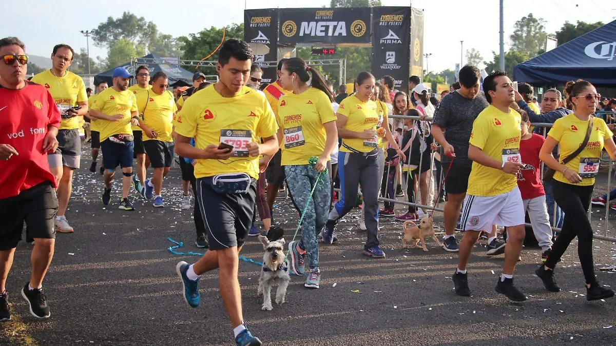 0206 MONARCAS (FMM)5