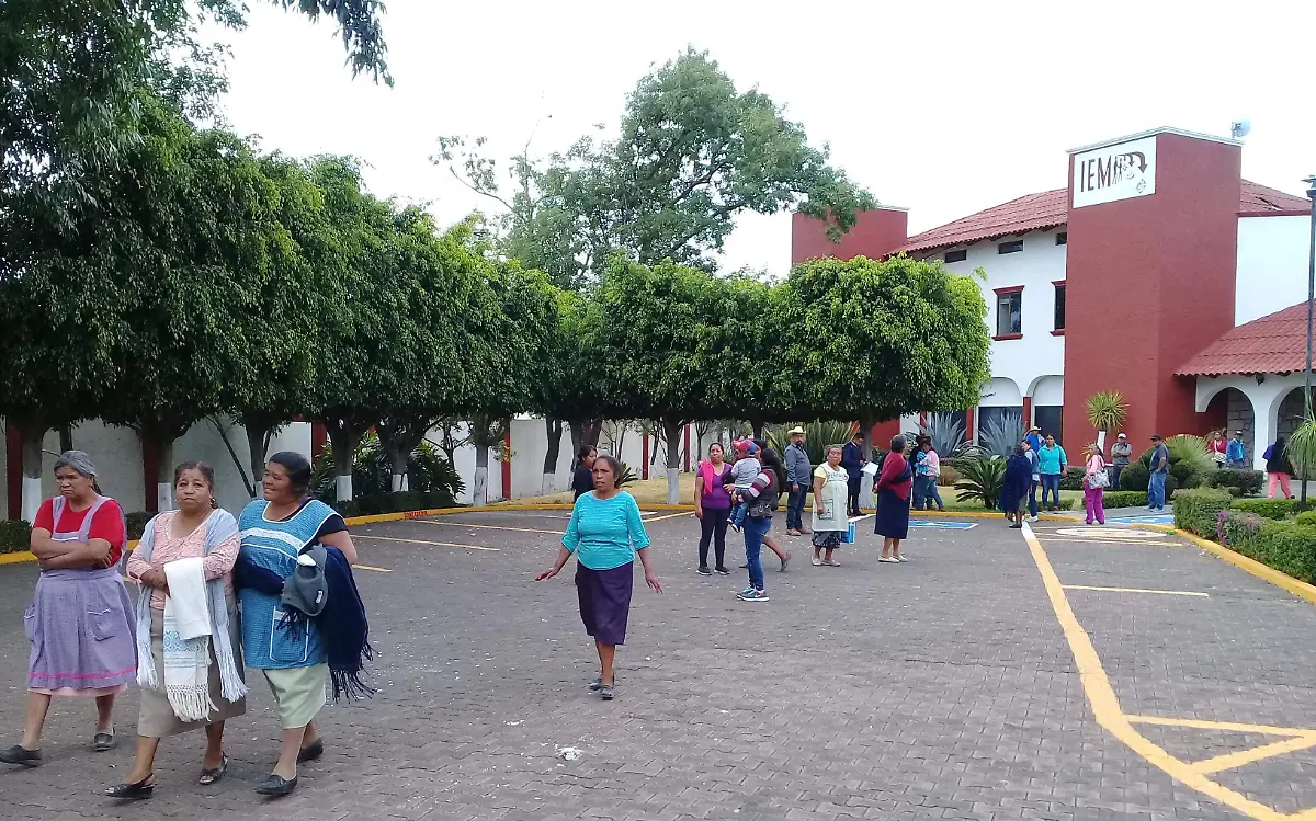 sevina consulta (LMO) (9)