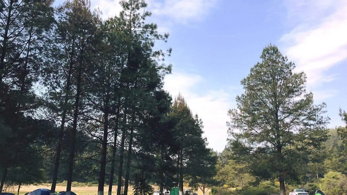 b5d86040-d701-4d2a-9a74-ef7b395a5a1d