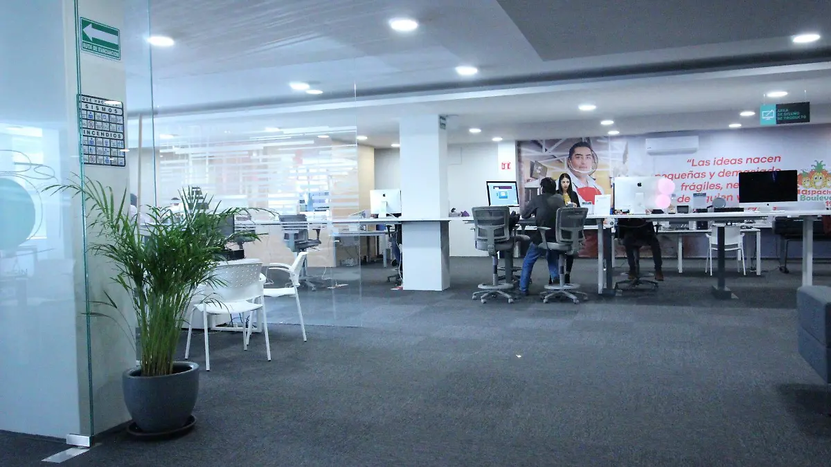 YUNUEN MEJIA BEJAR (MLM) (8)