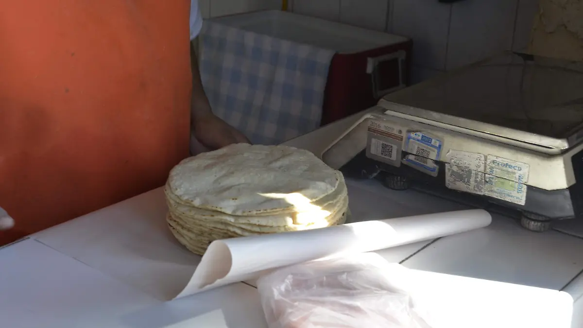 tortillas-tortillerias-FOT-LAZARO-_DSC2287-10