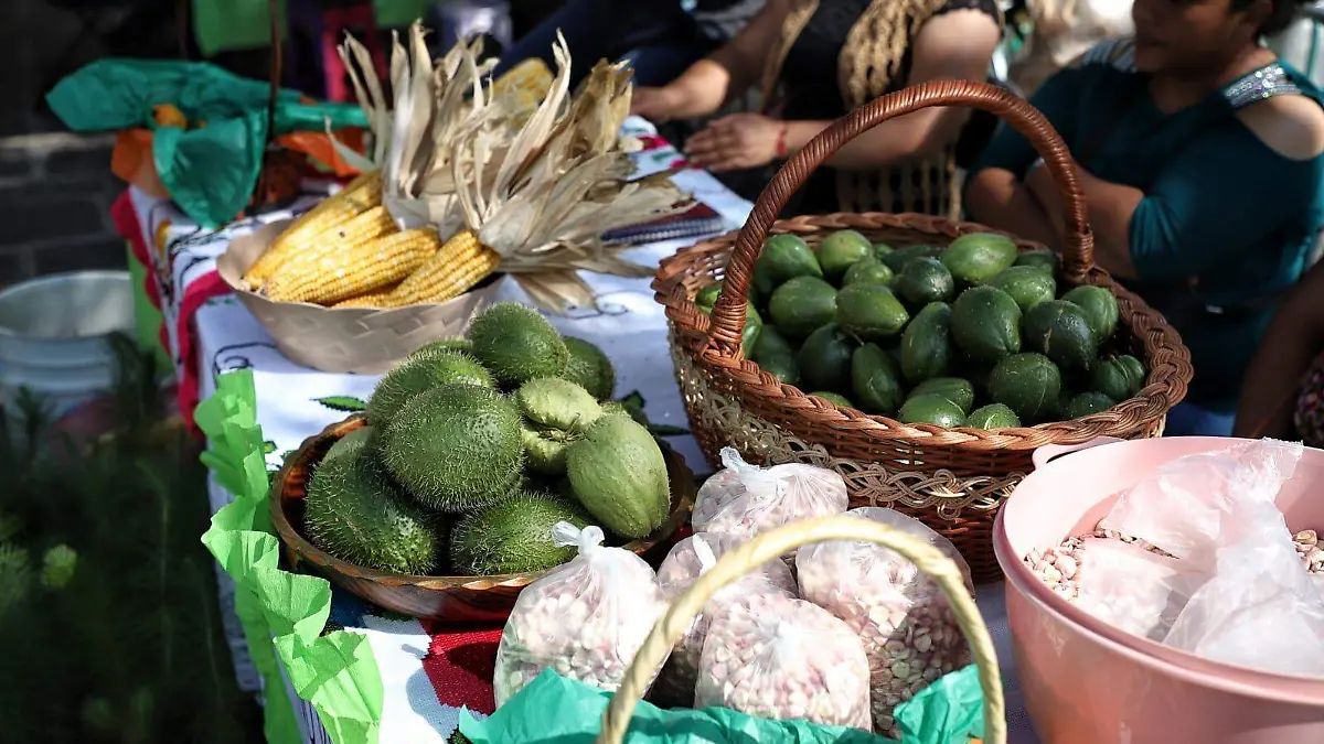Tianguis Campesino 3