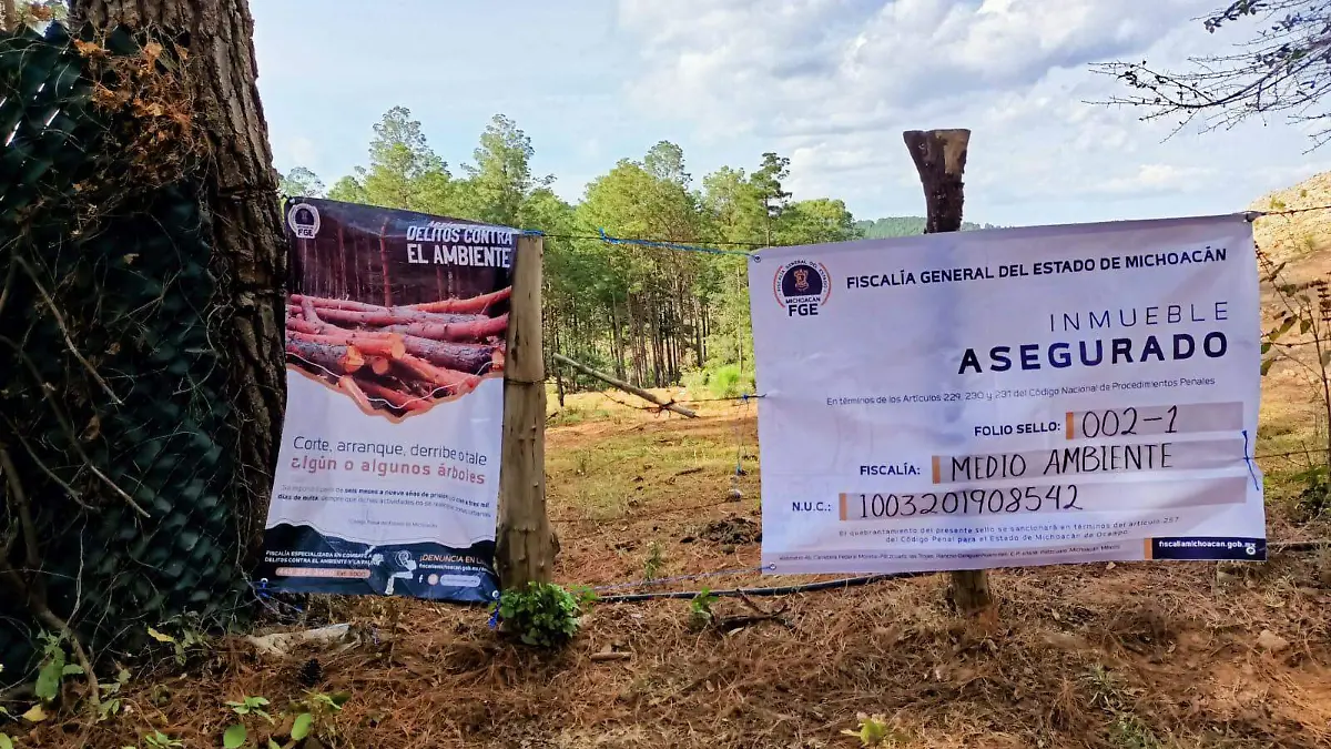 Predio asegurado Ichaqueo