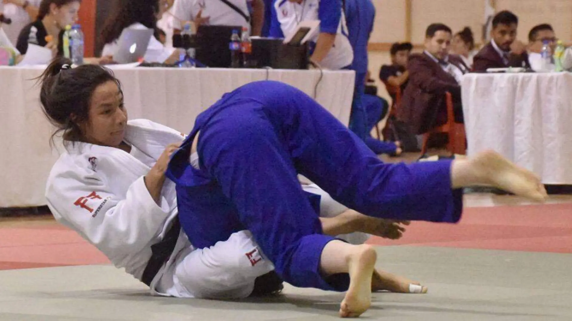 JUDOCA