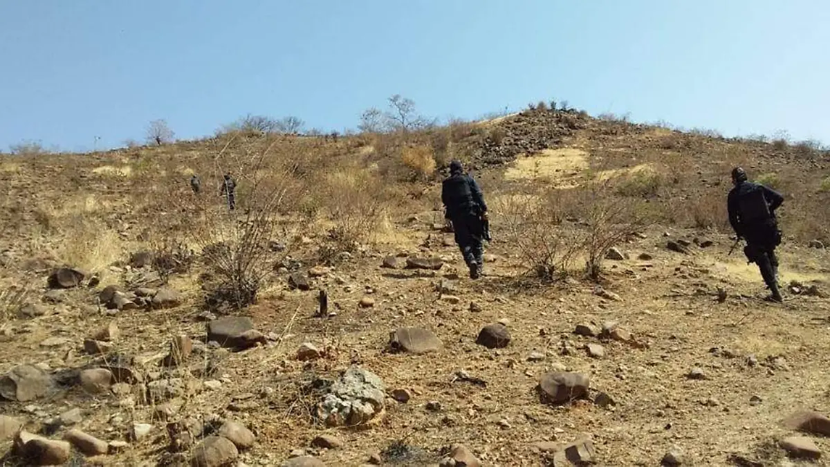 Vehículos Tepalcatepec 4