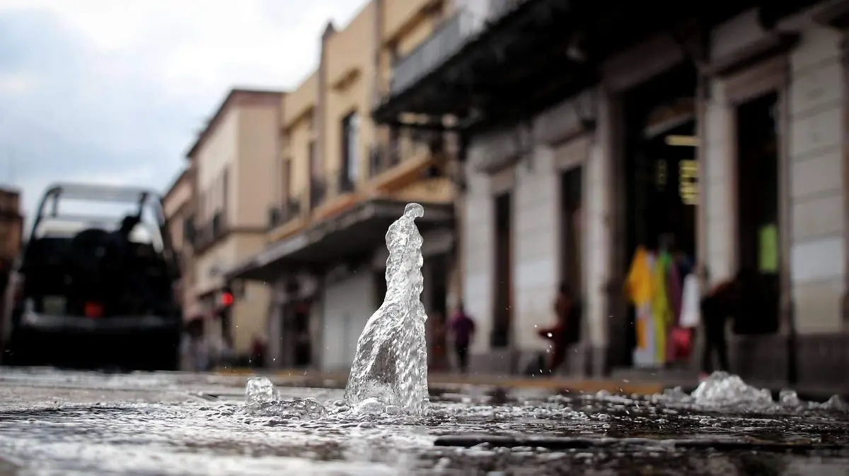 WhatsApp Image 2022-12-28 at 14.19.11