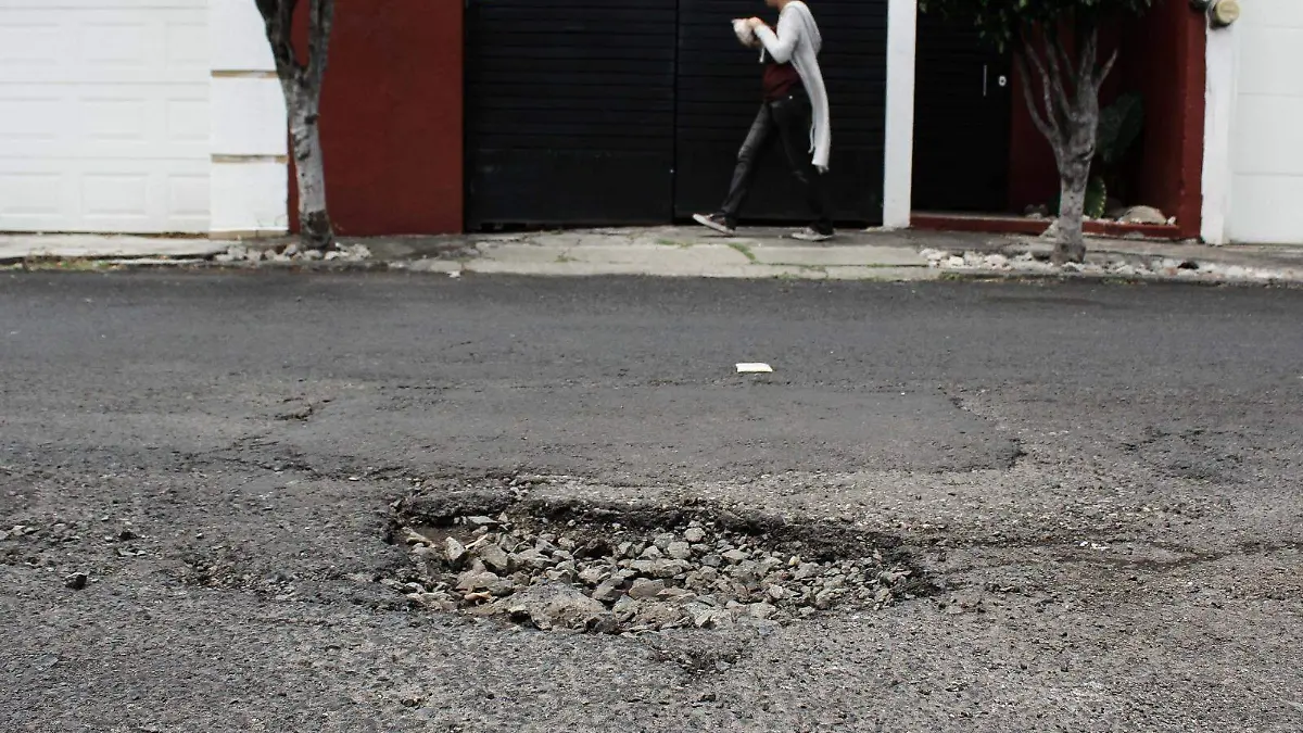 Baches