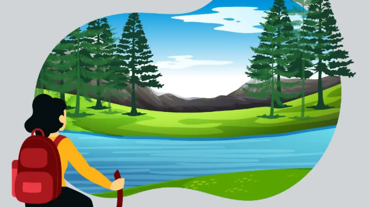 Prevenir accidentes en bosques