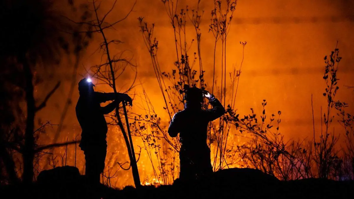 incendio forestal la loma morelia 1