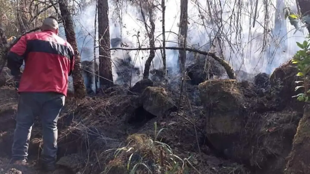 incendios 
