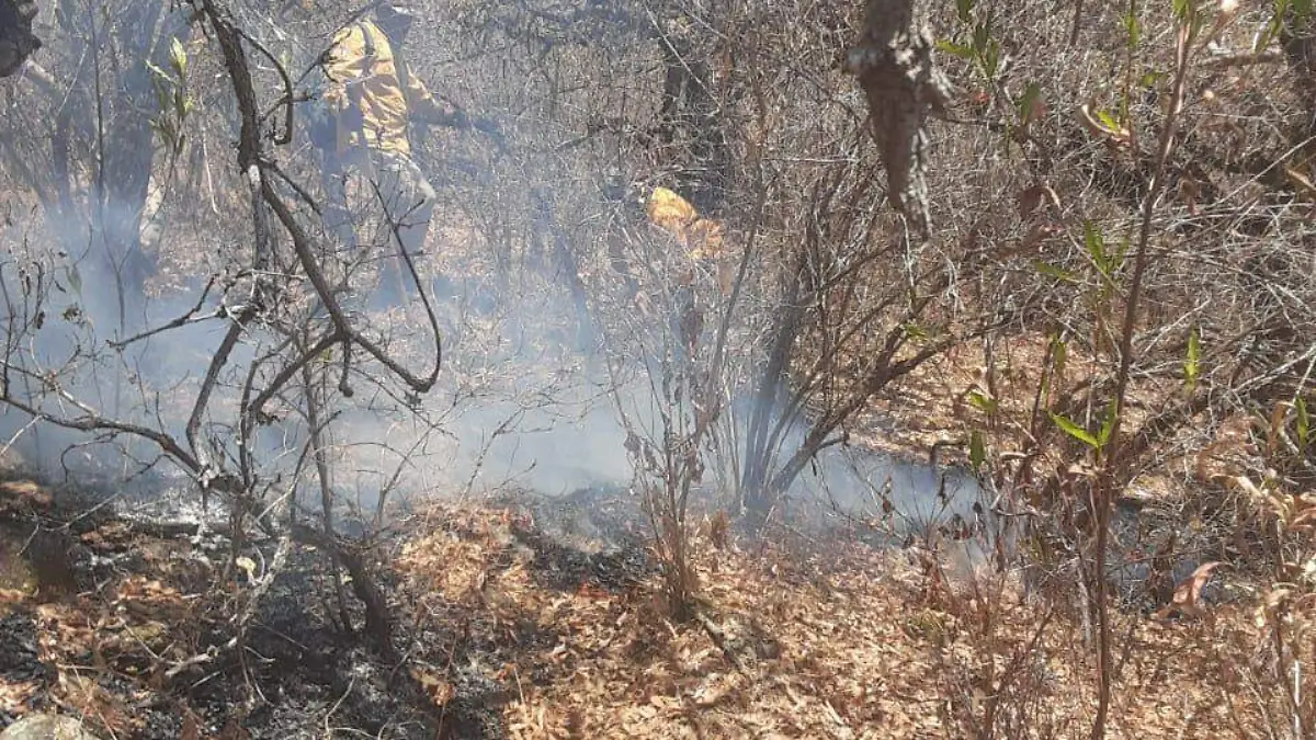Incendio cerro de la beata
