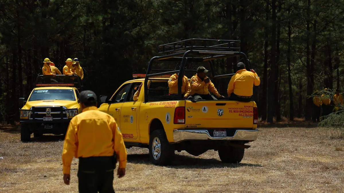 Brigadas contra incendios