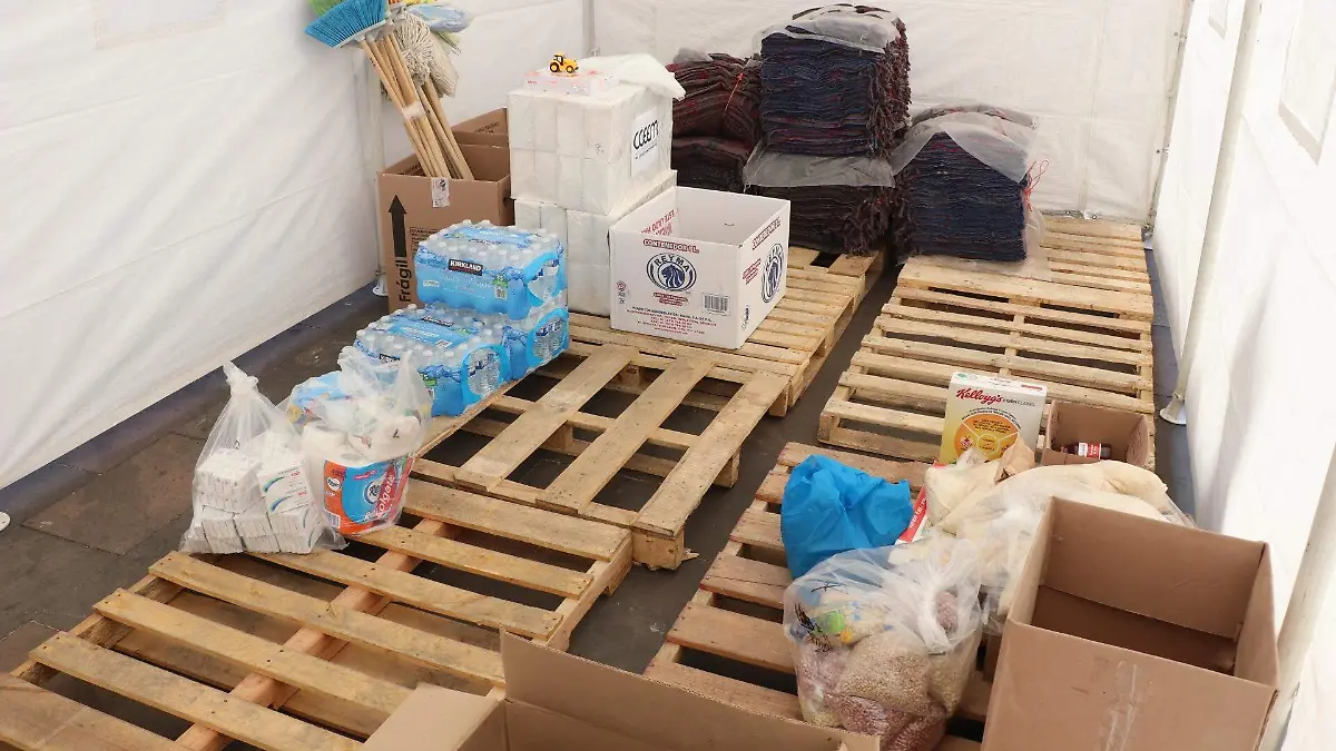 WhatsApp Image 2022-11-29 at 13.33.35