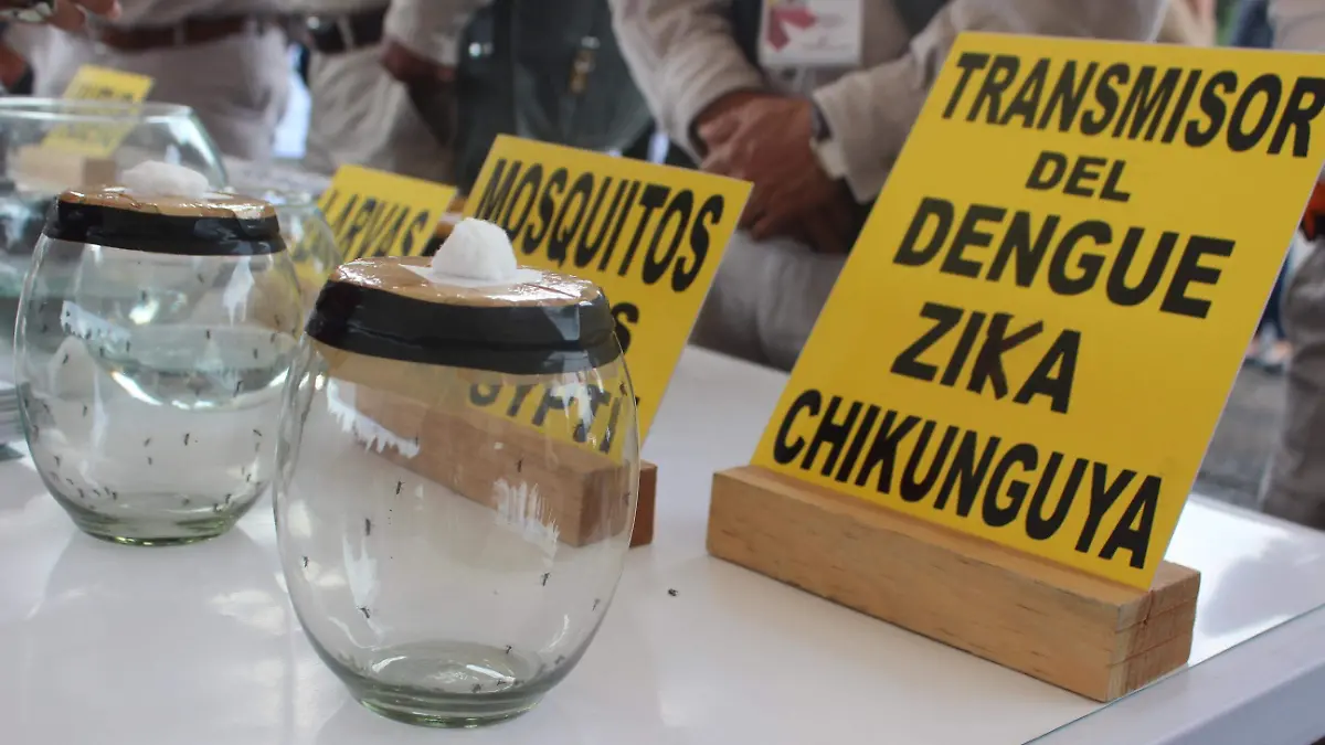 jornada dengue chicunguya sika_MLM (1)