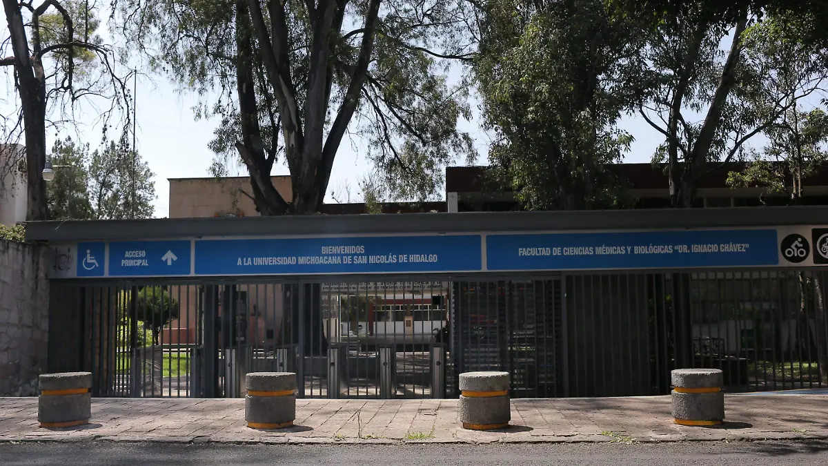 MEDICINA_IAV (2)