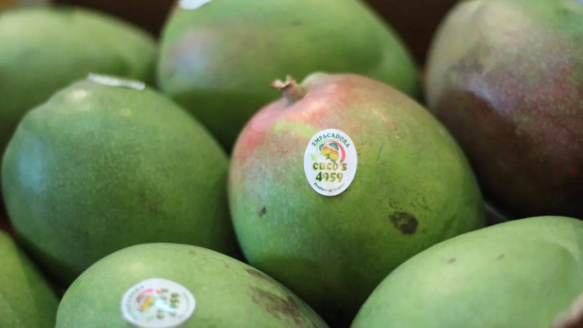 RP EXPO MANGO_MLM (4)