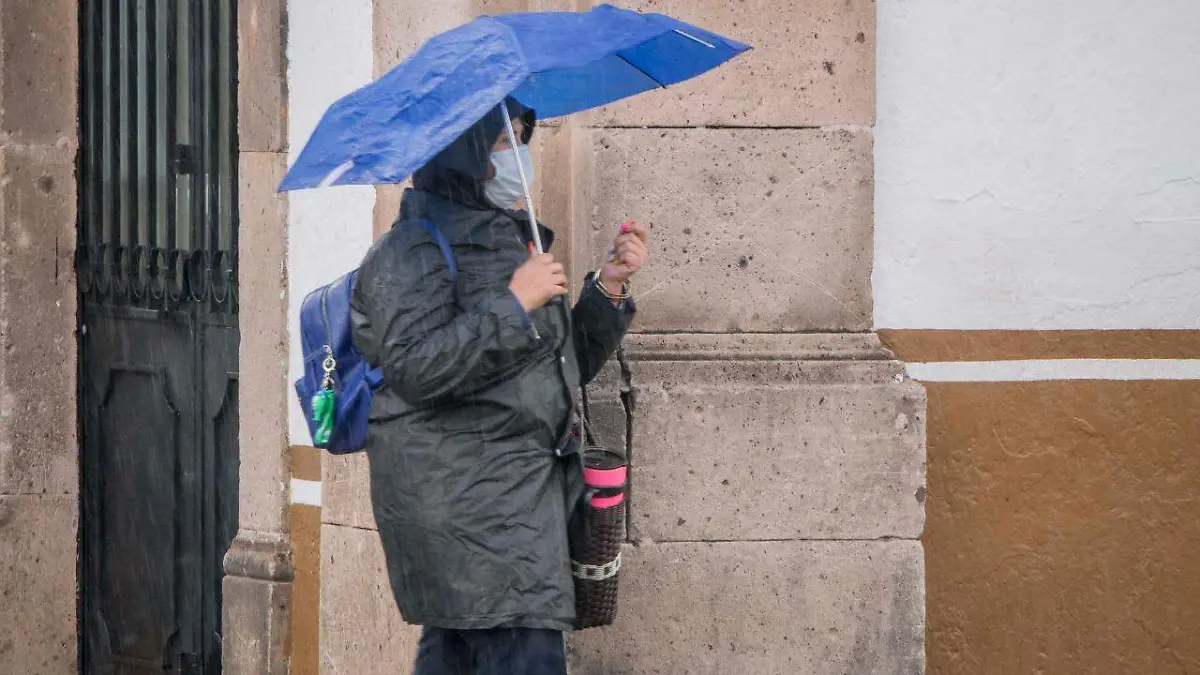 335d877d-40d8-4074-9ece-2bf70a6508e9