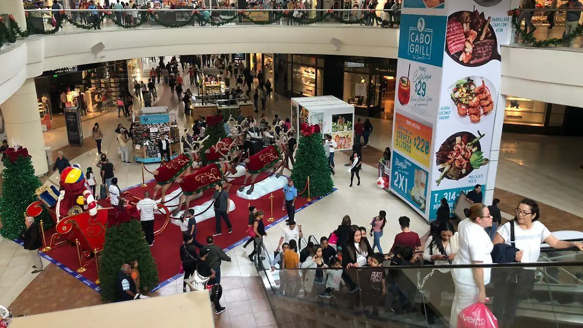 WhatsApp Image 2019-11-15 at 1.51.34 PM