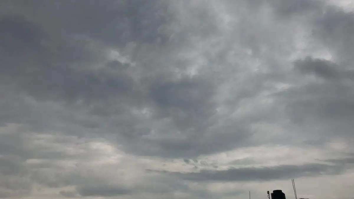 WhatsApp Image 2022-06-14 at 2.23.18 PM (4)