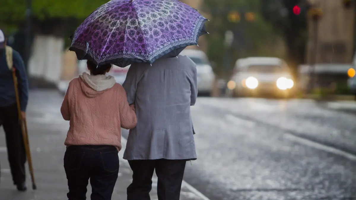 LLUVIA_AJO (3)
