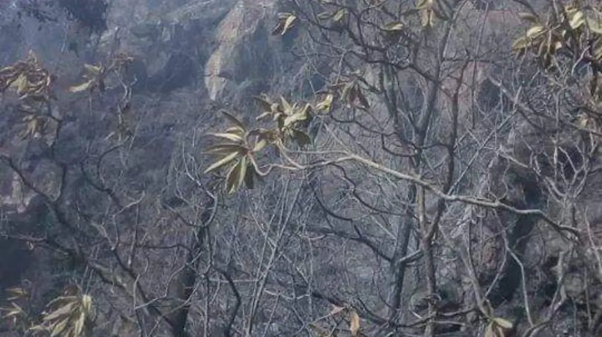 Incendio