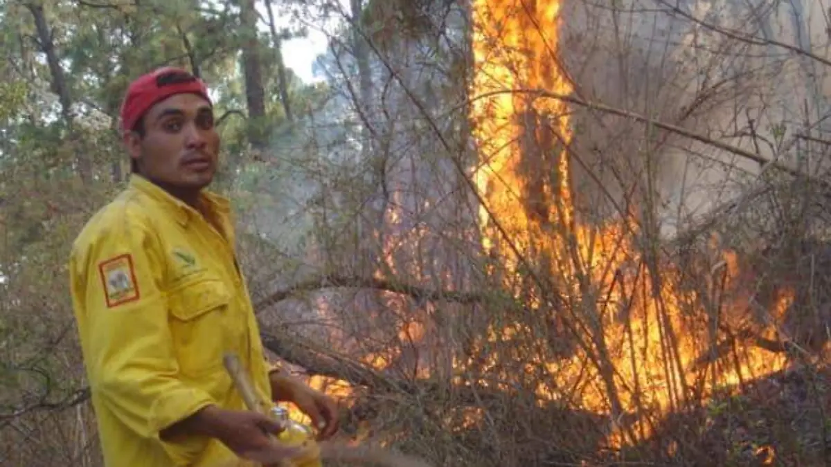 incendio forestal 2