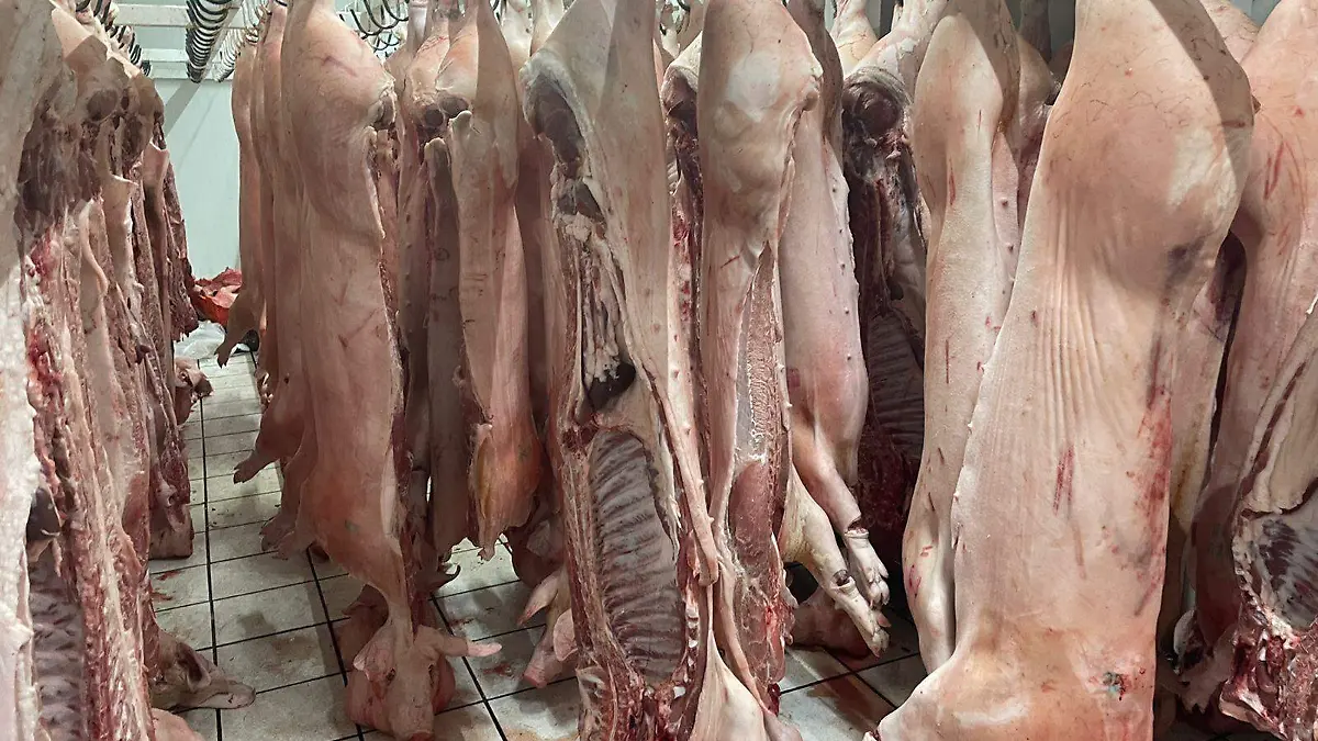 carnicería