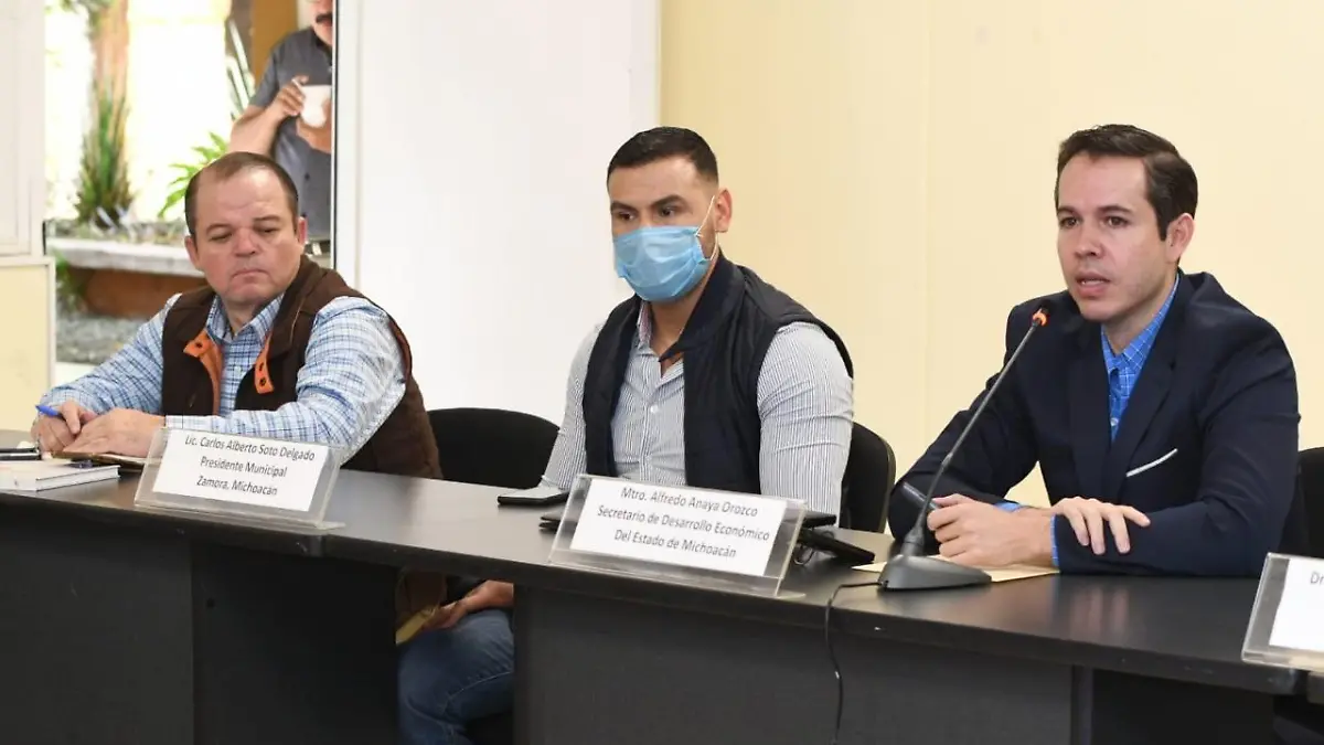 Alfredo Anaya Orozco