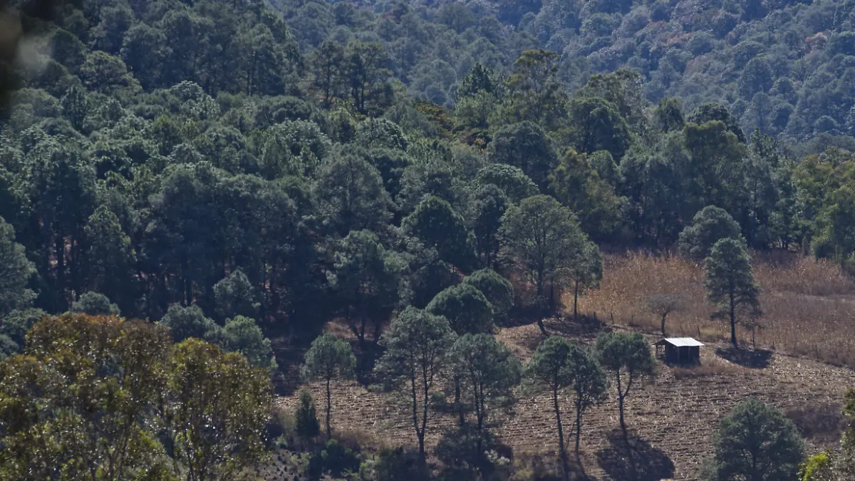 San José de las Torres 