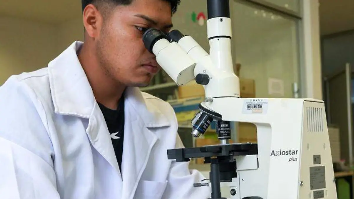 Investigación 
