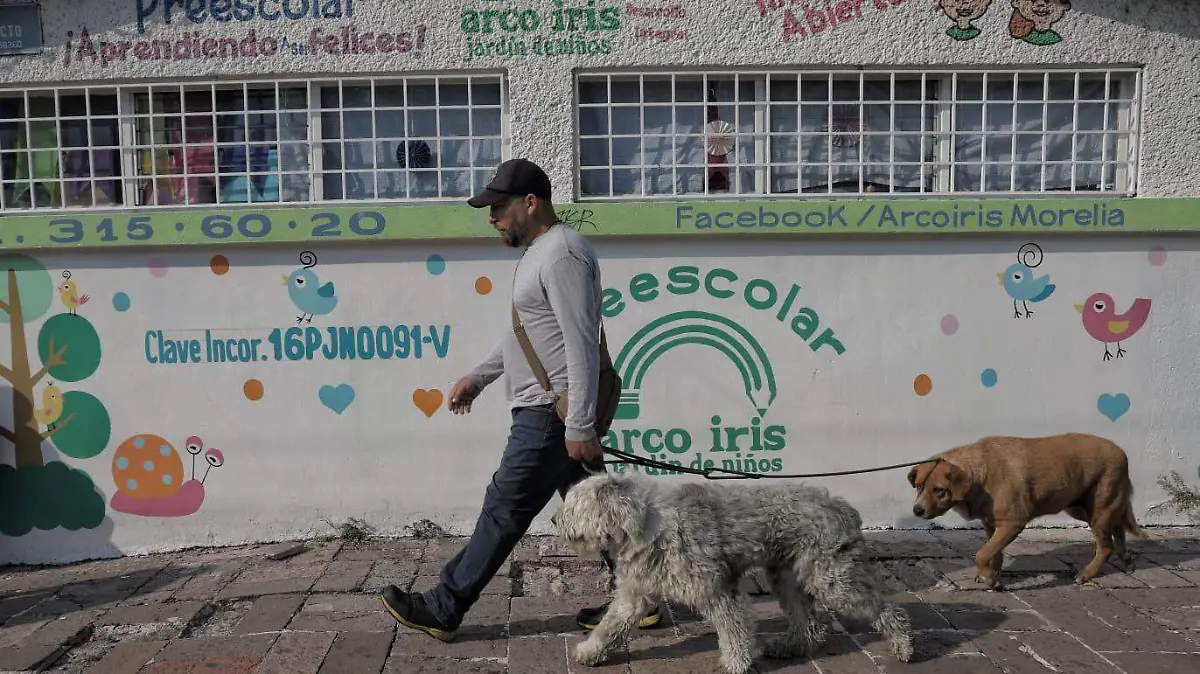 José, el encantador de perros