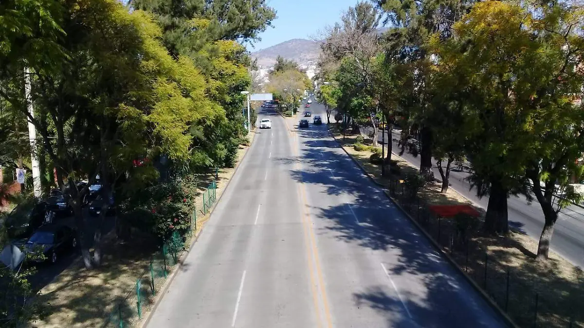 morelia (LMO) (7)