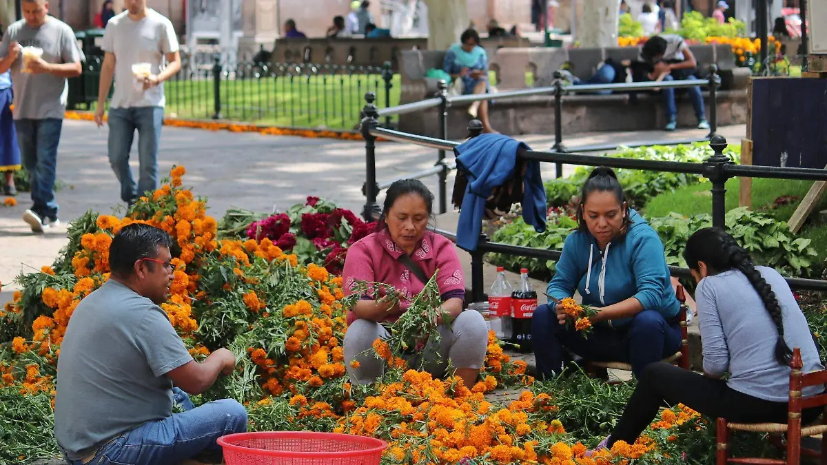 2810 historiador cempasuchil - fmm_05